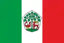 Drapeau de Braniewo