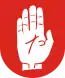 Blason de Brodnica