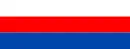 Drapeau de Brzesko