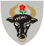 Blason de Chojnice