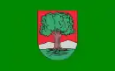 Drapeau de Wałbrzych