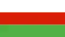 Drapeau de Wieleń