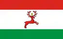 Drapeau de Wyrzysk