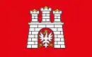 Drapeau de Zgierz