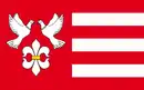 Drapeau de Gmina Świercze