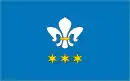 Drapeau de Gmina Domaniewice