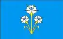 Drapeau de Gmina Kąkolewnica