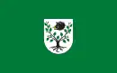 Drapeau de Gmina Kruszyna