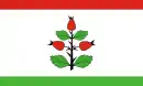 Drapeau de Gmina Rzgów