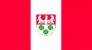 Drapeau de Gmina Wierzchosławice