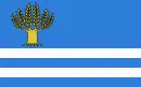 Drapeau de Gmina Wietrzychowice