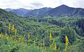 District de Talgar