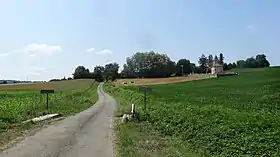 Pallanne
