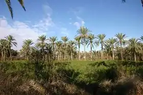 Gabès