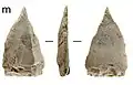 Pointes de Pangkep: sans denticulations et sans retrait basal.