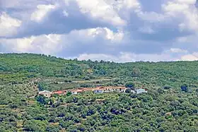 Molinillo