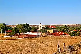 Zarapicos