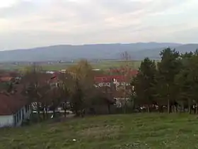 Čekmin