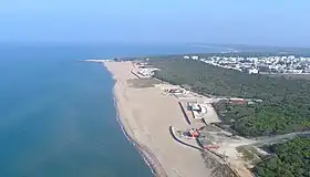 Lesina