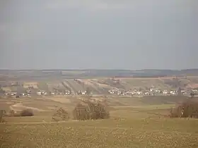 Sady (Lublin)