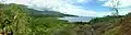 Mangrove de nioumachoua