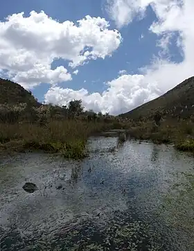 Image illustrative de l’article Lac Iguaque