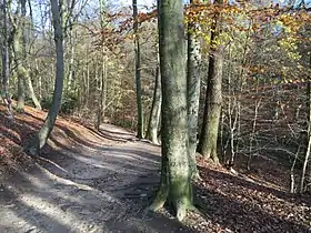 Les chemins