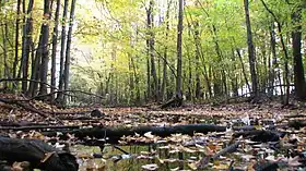 Image illustrative de l’article Parc Michel-Chartrand