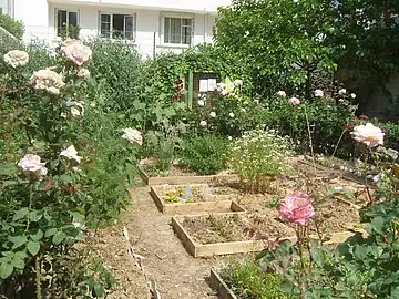 Un jardin partagé borde la pelouse du Jardin Paul-Nizan dans le 13e arrondissement de Paris.