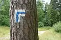 Chemin de randonnée.