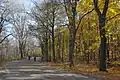 Chemin Olmsted