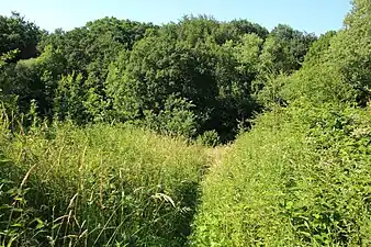 Le GR VA à Parkbos-Uilenbroek (nl)