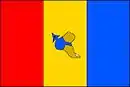 Drapeau de Patokryje