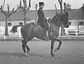 Patrick Le Rolland au piaffer sur Cramique - Saumur 1971