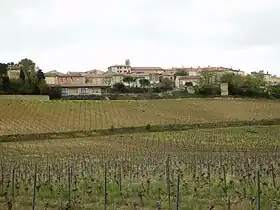 Pauligne