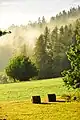 Paysage de la condamine