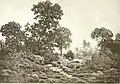Paysage avec étang. Théodore Rousseau, nd., H. 24 cm. Photo avant noircissement (1886). École de Barbizon.