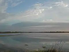 Un étang.