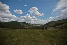 Paysage de Mongolie.