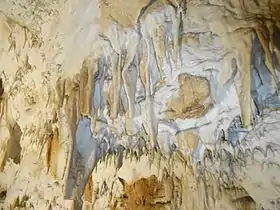 Ceremošnja