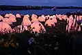 Lors de la 2012 Cultural Olympiad&nbsp;(en), il y eut 8 installations en Grande-Bretagne avec des tentes illuminées et des lectures de poésie. L'une d'elles eut lieu à Llanbadrig.