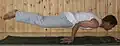 Mayurasana (en).