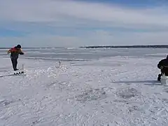 Pêcheurs, brimbales, sur la glace de la rivière, au large la section estuarienne du fleuve Saint-Laurent.