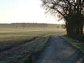 Peissen
