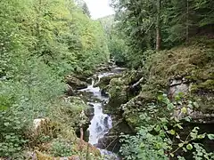 Gorges