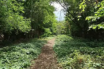 Promenade de la Petite Ceinture.