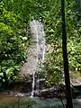 Petite chute sur la rivière Galion vers le bassin bleu.