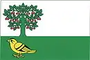 Drapeau de Petkovy