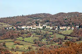 Petricci