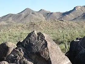 Petroglyphe sur Signal Hill.